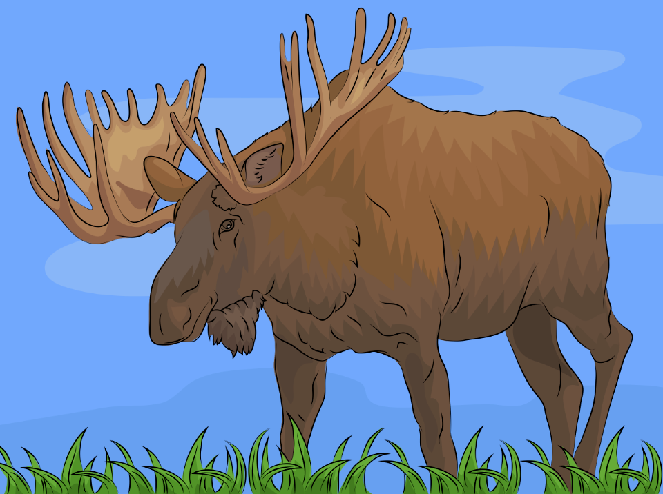 Moose