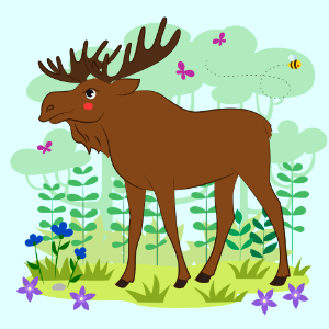 Moose