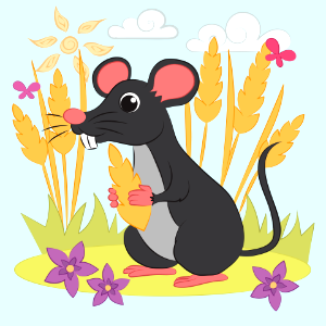 Mouse