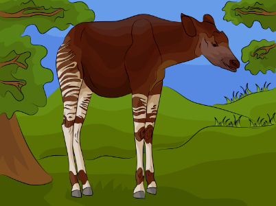 Okapi