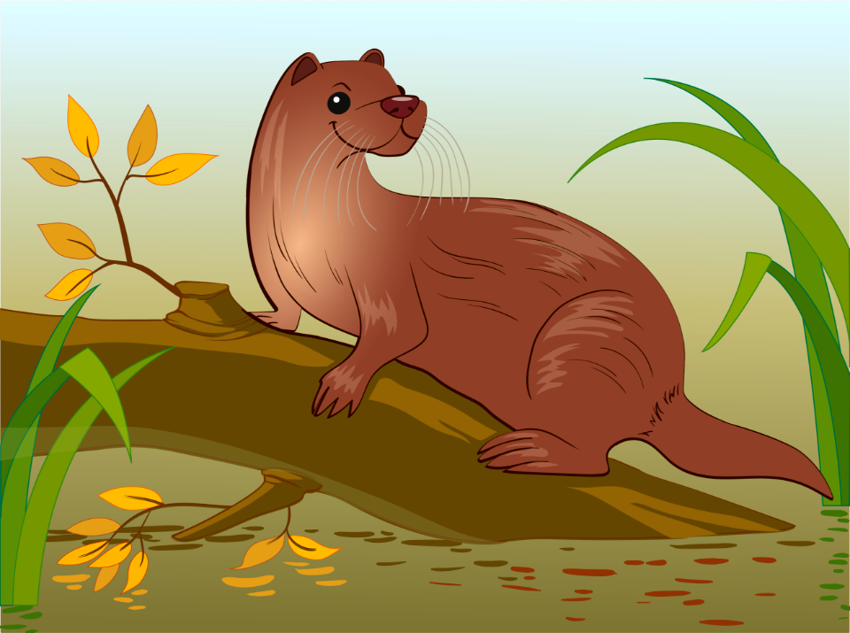 Otter