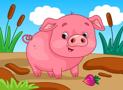 Pig