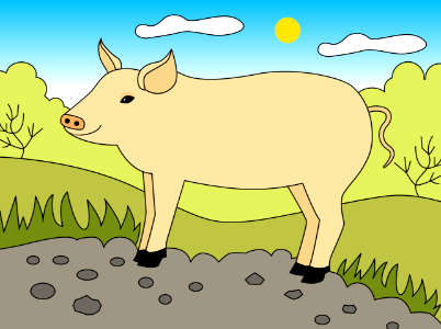 Pig
