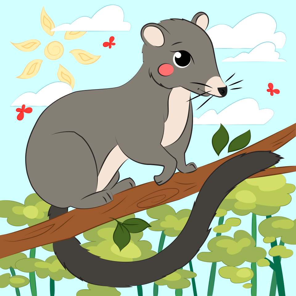 Possum