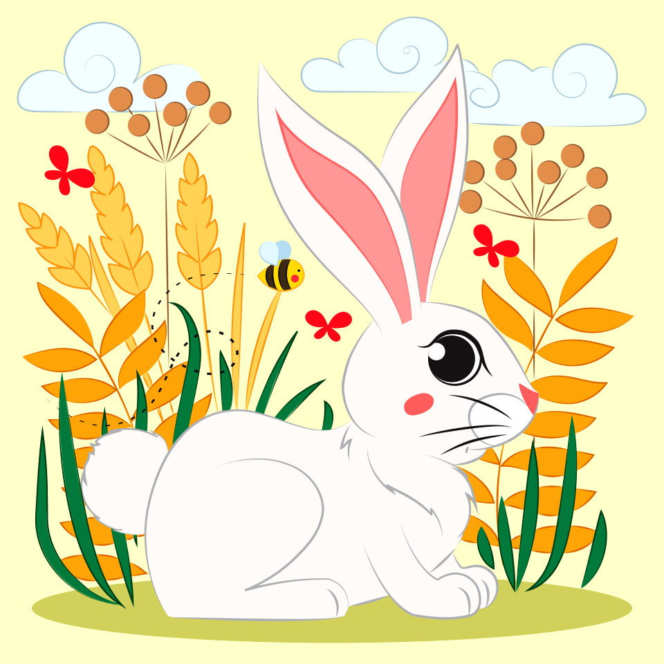 Rabbit