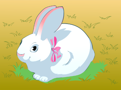 Rabbit
