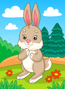 Rabbit