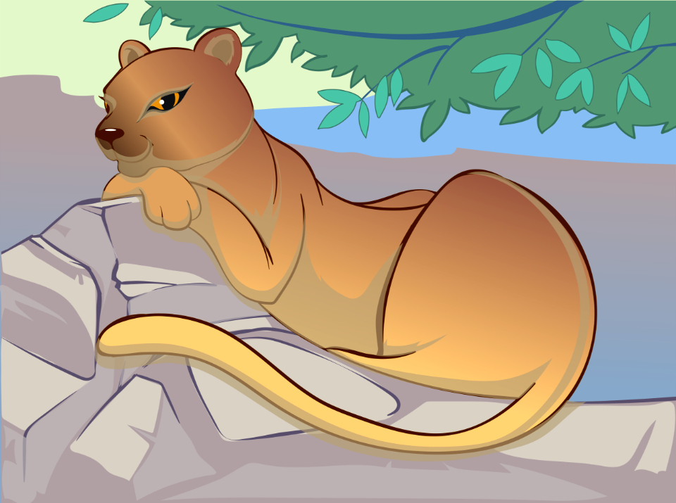 Puma