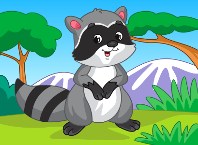Raccoon