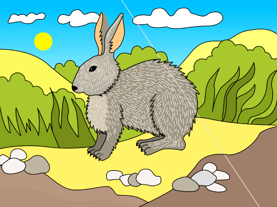 Rabbit