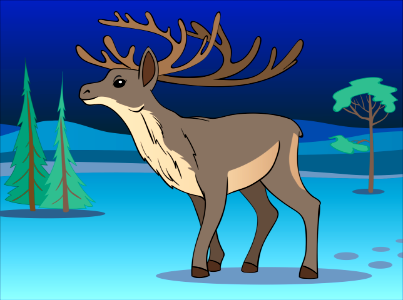 Reindeer