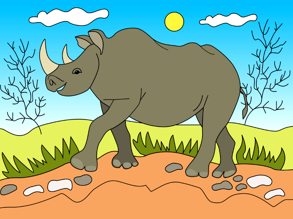 Rhinoceros