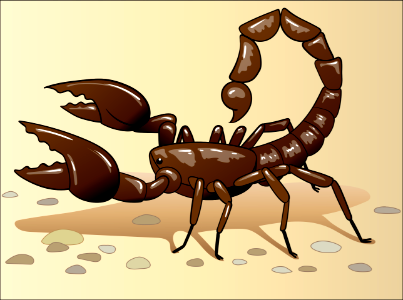 Scorpion