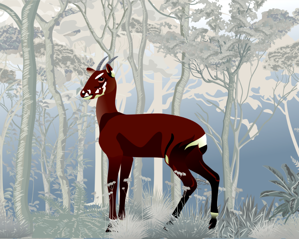 Saola