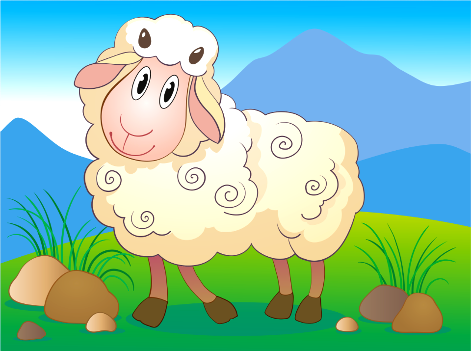 Sheep