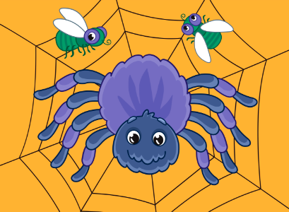 Spider