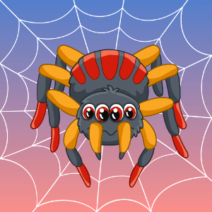 Spider