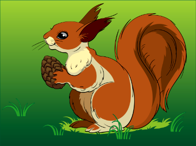 Squirrel