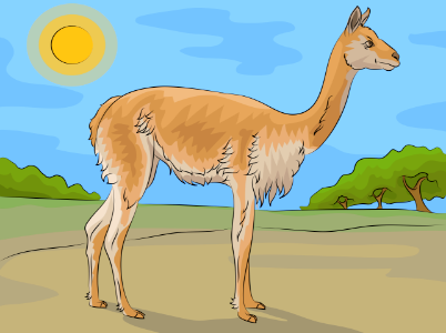 Vicuna