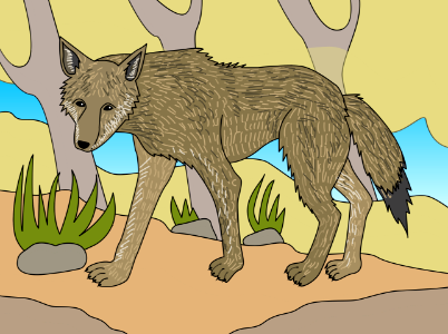 Wolf