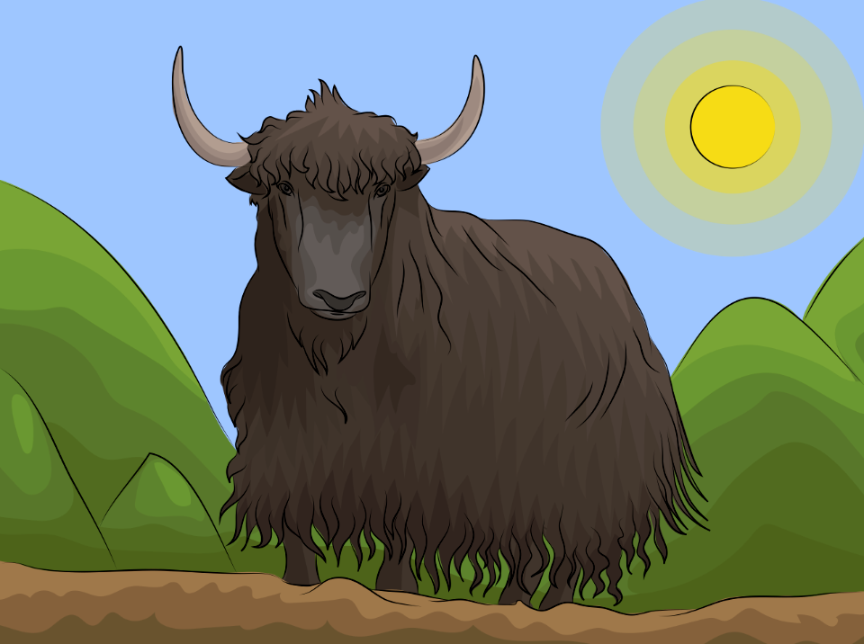 Yak