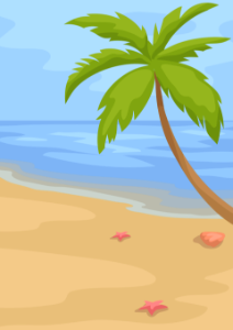 Beach palm tree