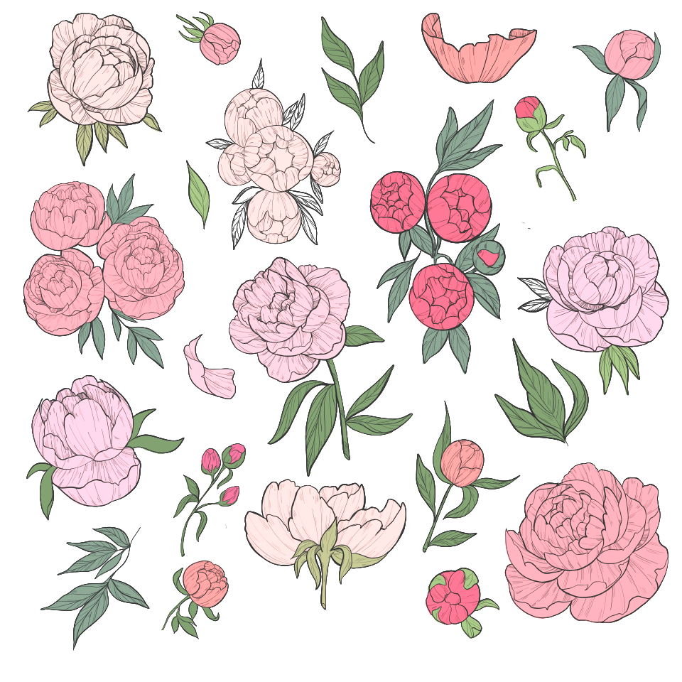 Peonies