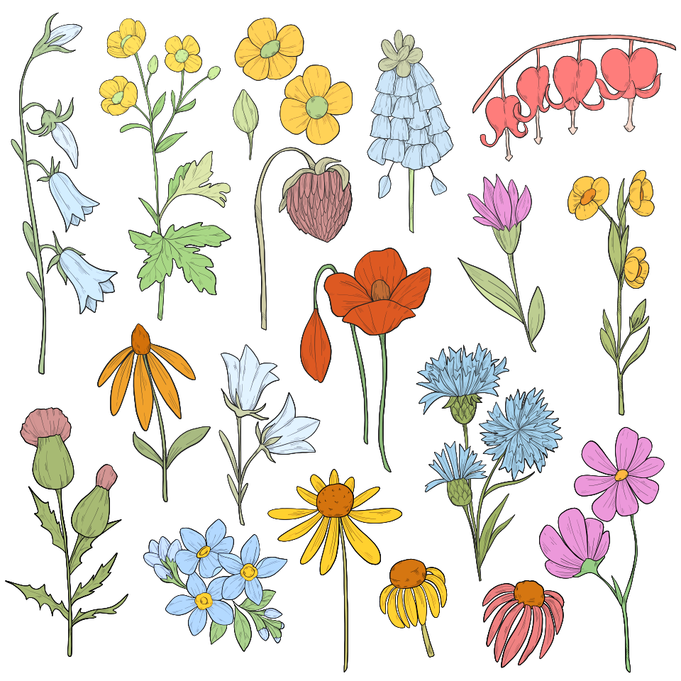 Wild flower