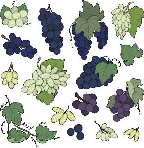 Grape