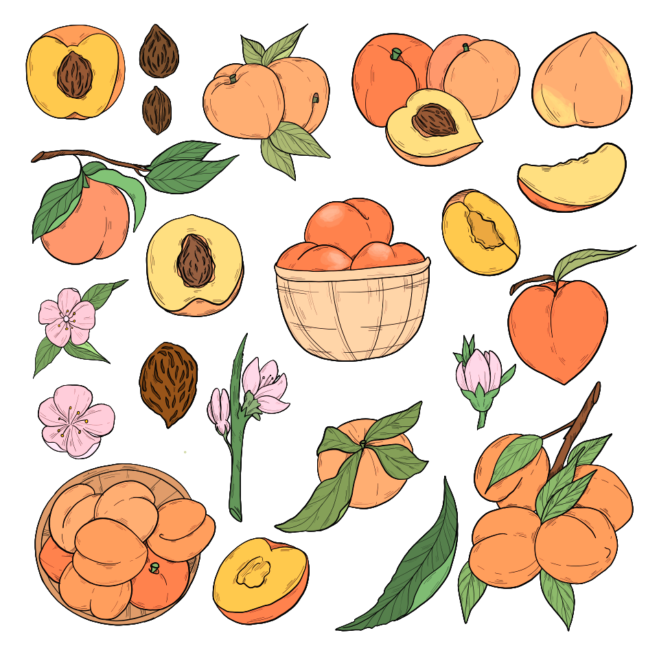 Peach