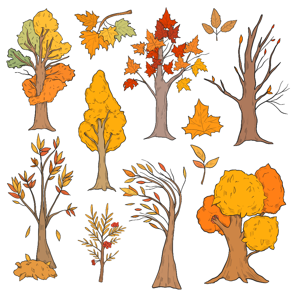 Set of fall trees