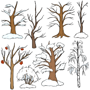 Set of winter trees