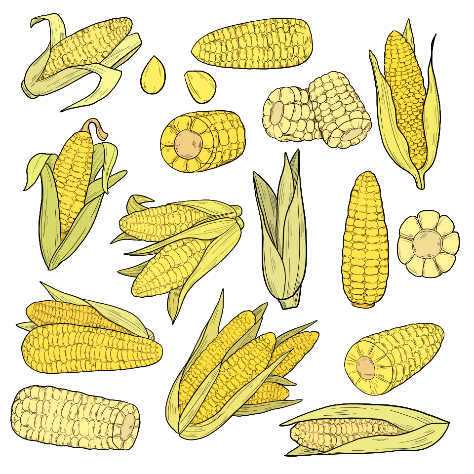 Corn