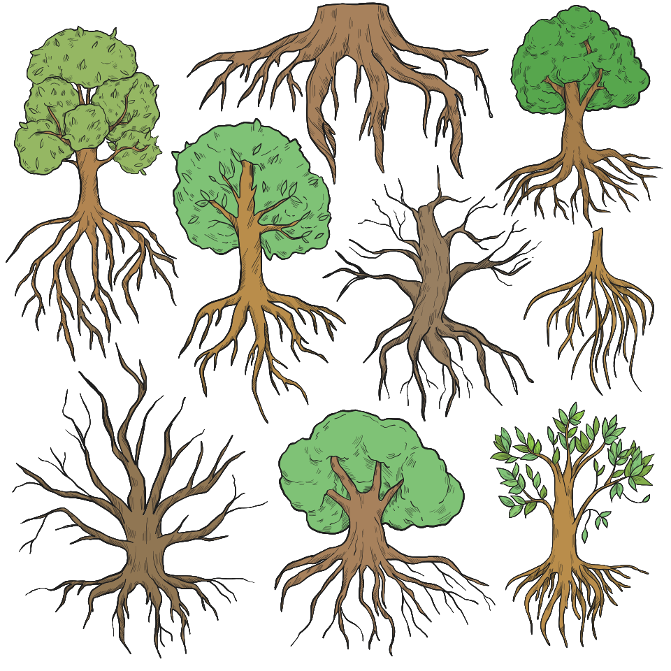 Tree with roots