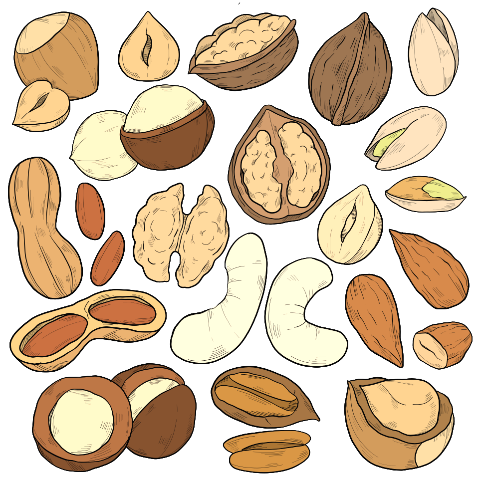 Nut