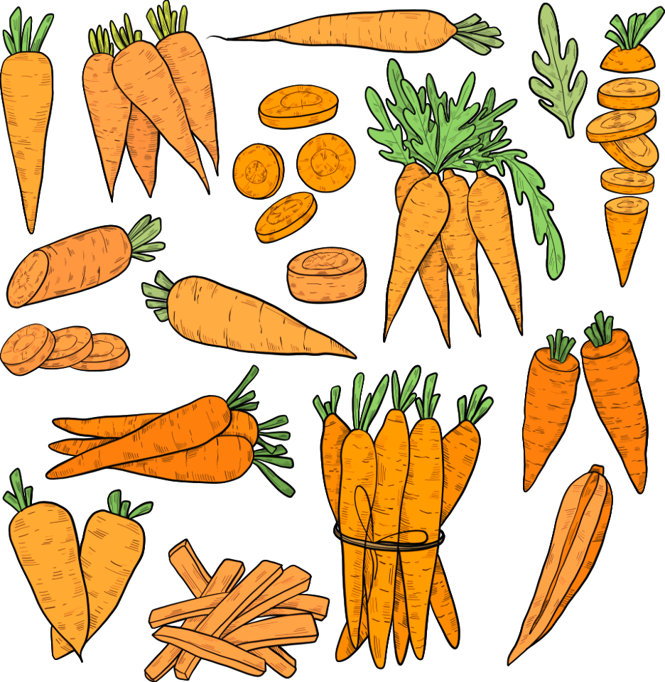 Carrot