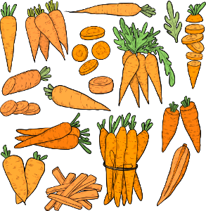 Carrot
