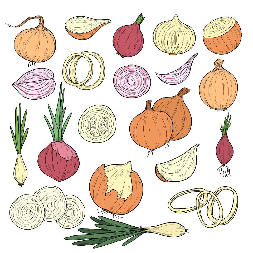 Onion