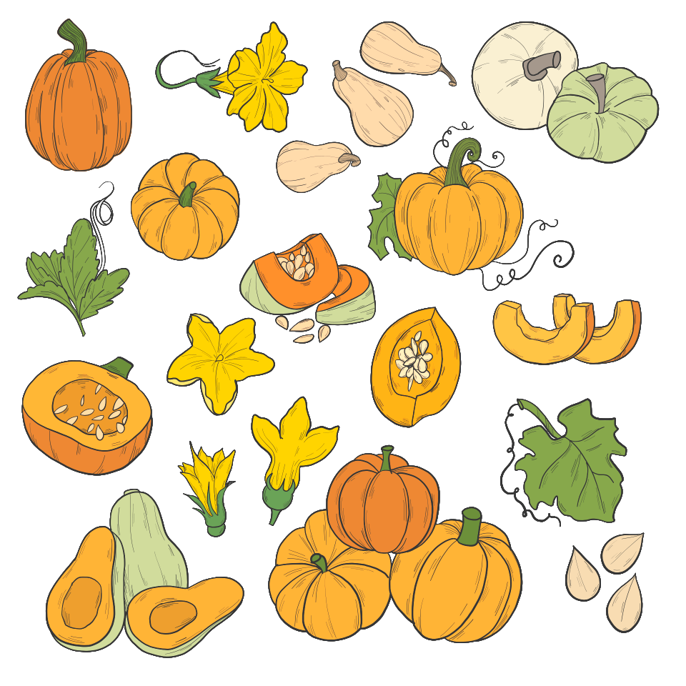Pumpkin