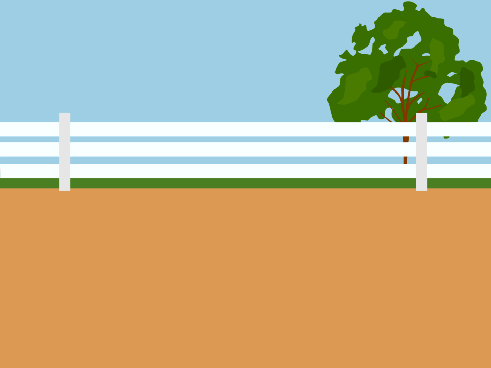 White fence