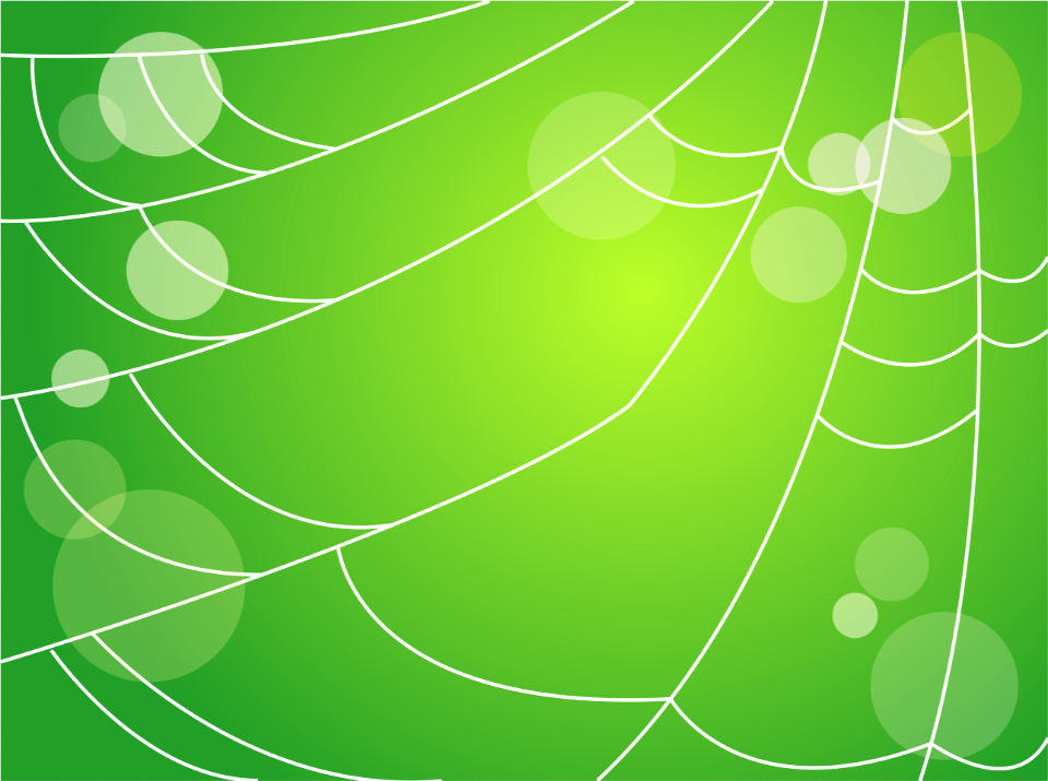 Spider web