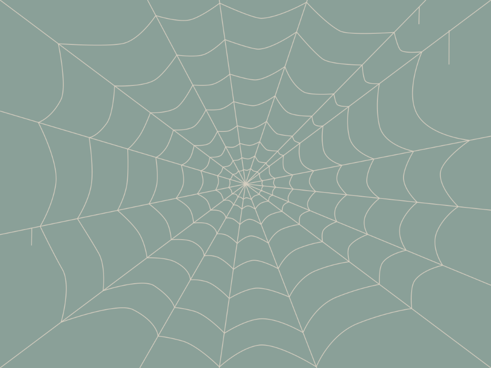 Spider web
