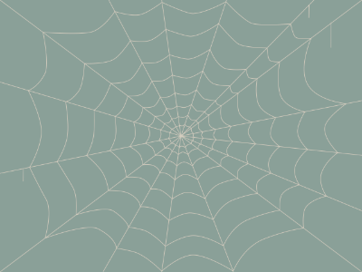 Spider web