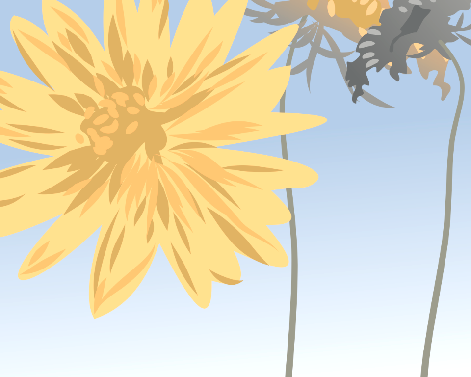 Beige flower