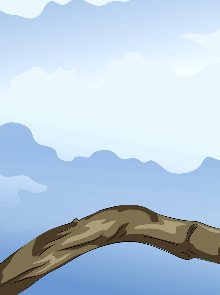 Branch against sky