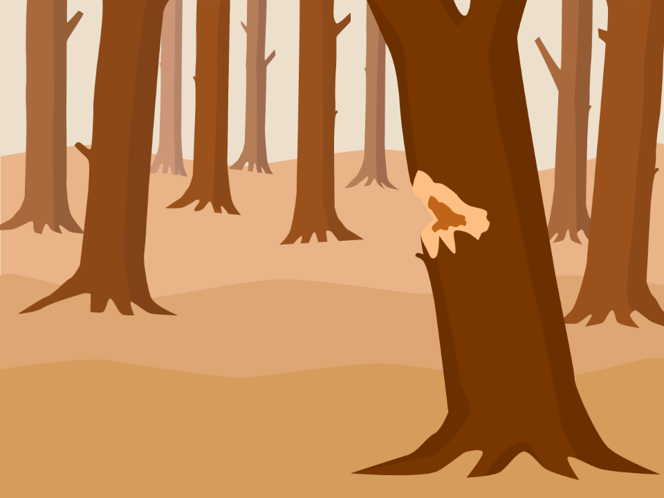 Chopped tree