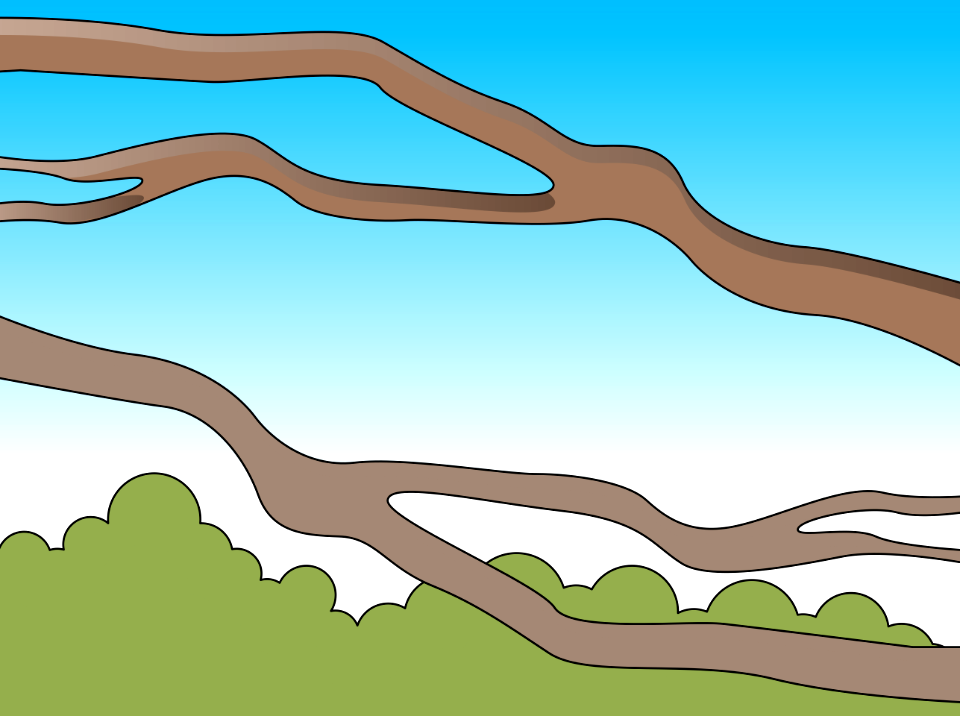 Forest branches