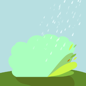 Greenery