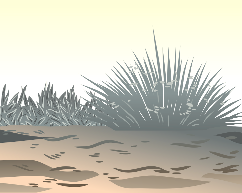 Grey grass