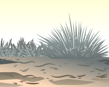 Grey grass